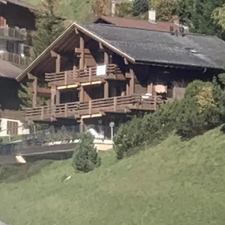 Chalet Orchis Hasliberg Exterior photo