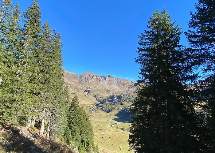 Chalet Orchis